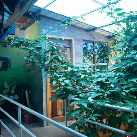 Hostal Los Farolitos Mindo Exterior foto
