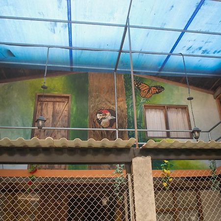 Hostal Los Farolitos Mindo Exterior foto