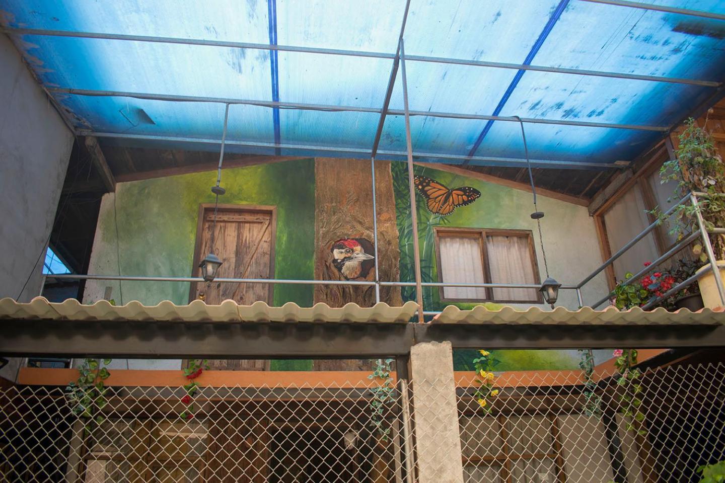 Hostal Los Farolitos Mindo Exterior foto