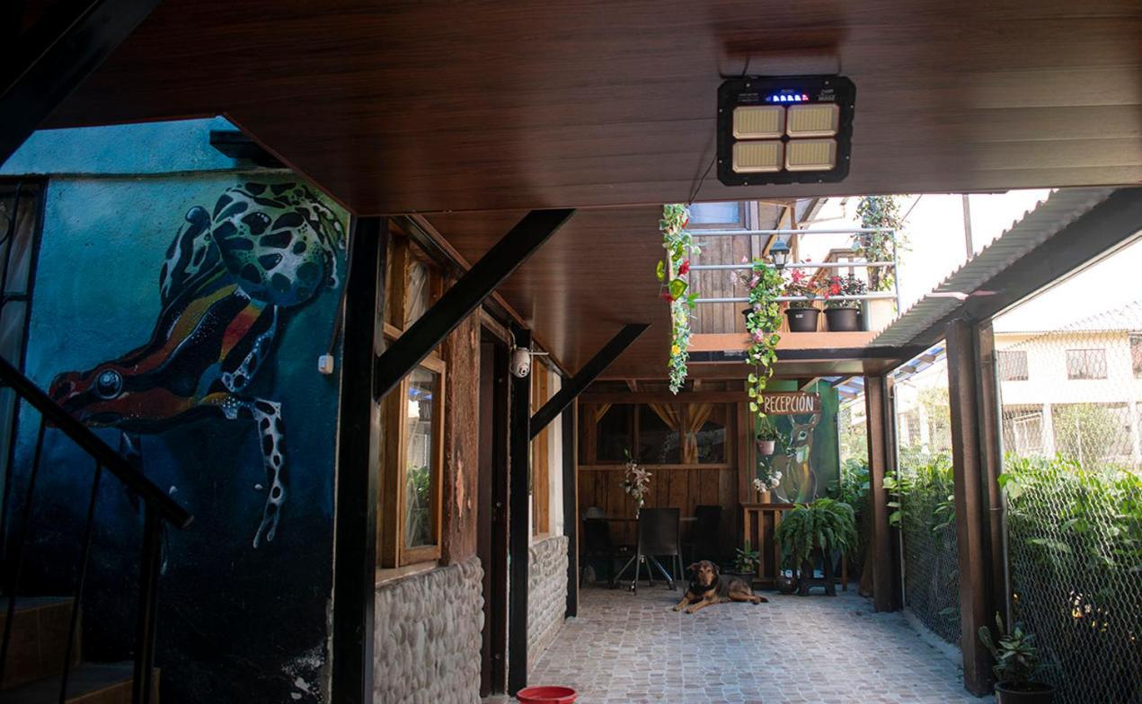 Hostal Los Farolitos Mindo Exterior foto